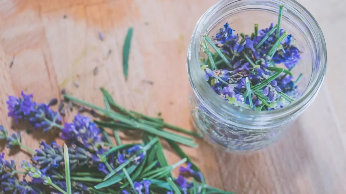 Frischer Lavendel und Rosmarinzweige liegen auf einem Holzbrett, ein Teil davon in einem offenen Glas